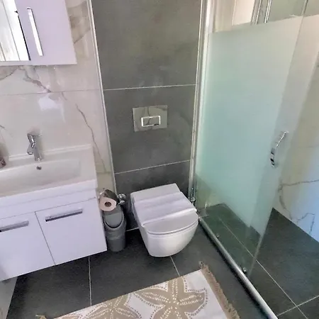 Ares Doga Manzarali 8 Kisilik Villa Eskiomerler